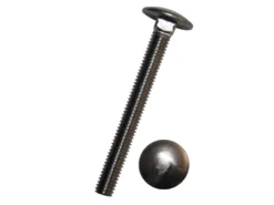 DH Flachrundschr. Vierkantans. O. Mutter A2 M10x80 Mm 10 St.