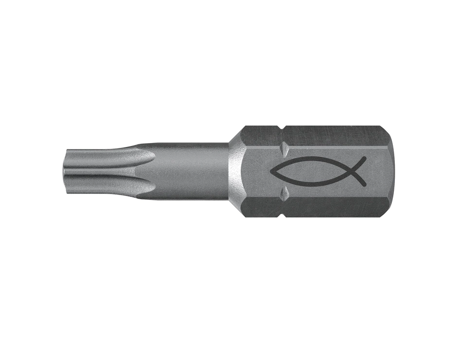Fischer Profi Bit FPB T25, 10 St.